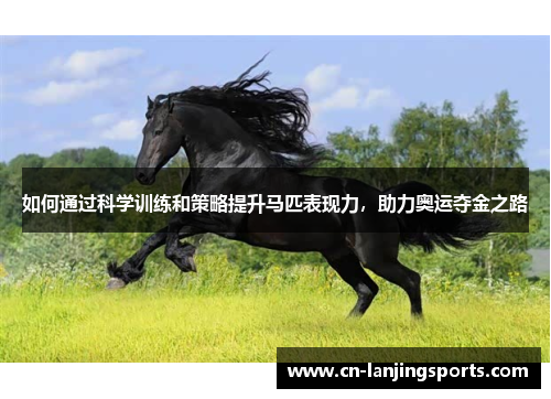 如何通过科学训练和策略提升马匹表现力，助力奥运夺金之路
